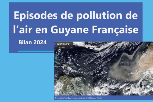 Atmo Guyane, La qualité de l'air en Guyane | Bilan 2024 des épisodes de ...