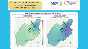 Répartition du Dioxyde d’Azote à Roura 2025 - 2026